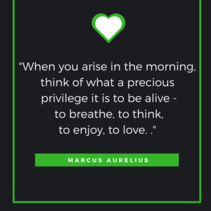 When you arise in the morning, think of what a precious privilege it is to be alive - to breathe, to think, to enjoy, to love. Marcus Aurelius