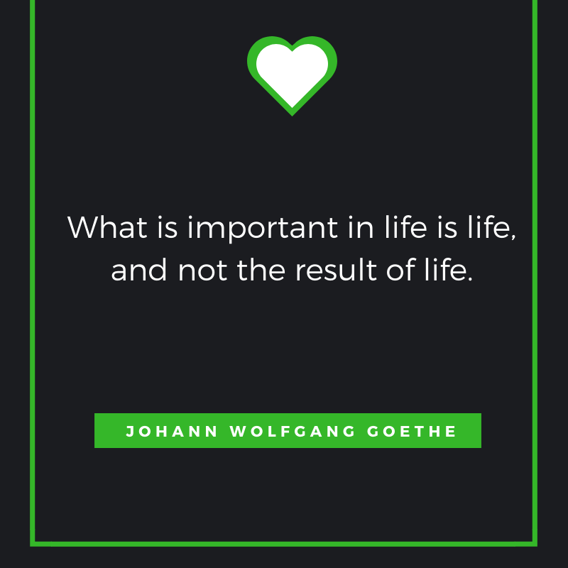 What is important in life is life, and not the result of life. Johann Wolfgang von Goethe