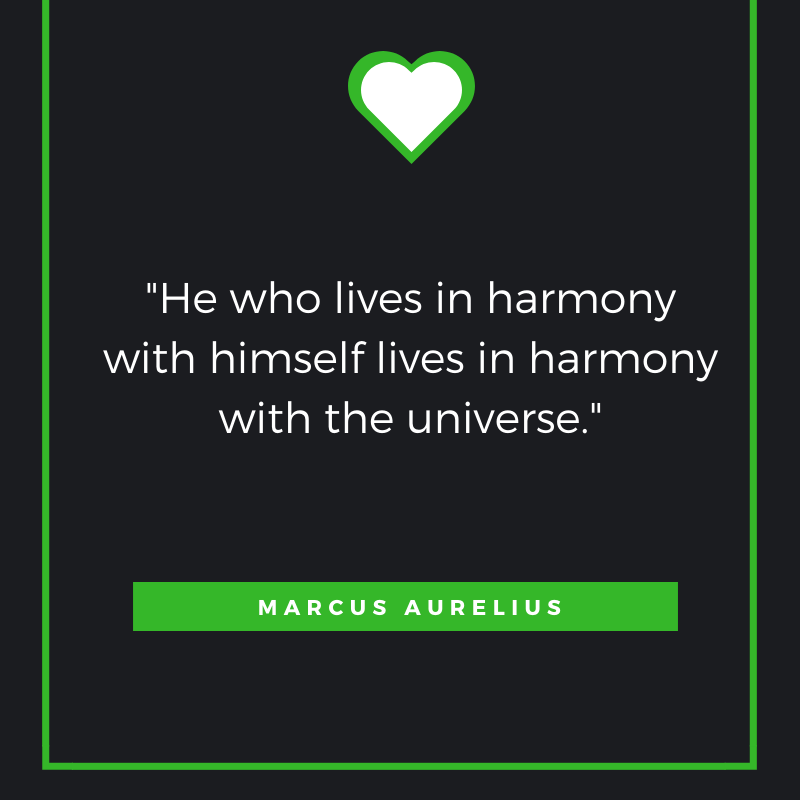  “He who lives in harmony with himself lives in harmony with the universe.” Marcus Aurelius