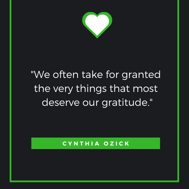 We often take for granted the very things that most deserve our gratitude. Cynthia Ozick